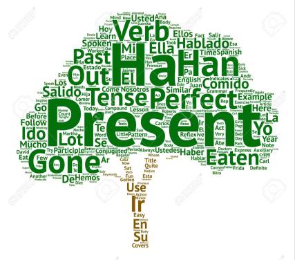 Learn Spanish Lesson and the Present Perfect Tense Word Cloud Concept Text Background